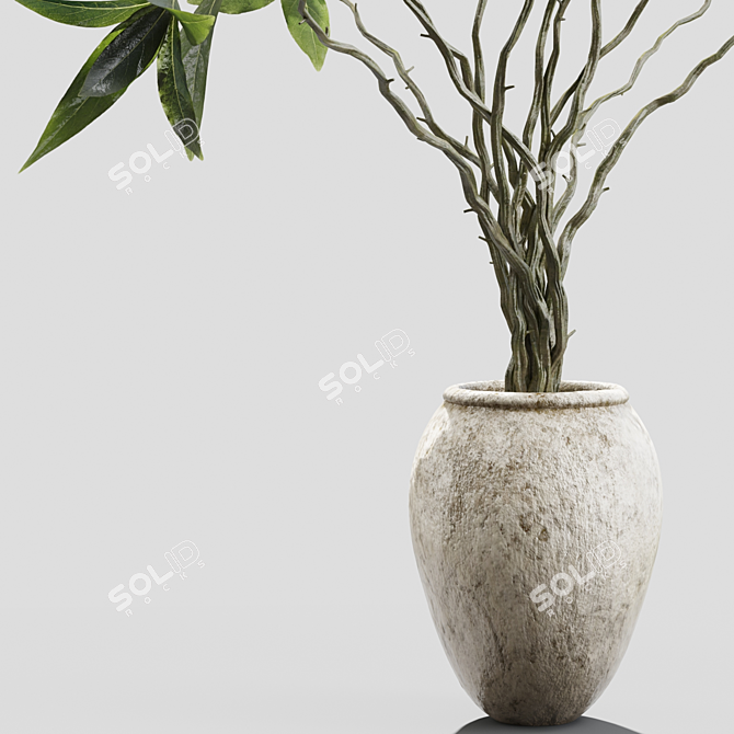 Botanical Beauty Branches in Vases 3D model image 2