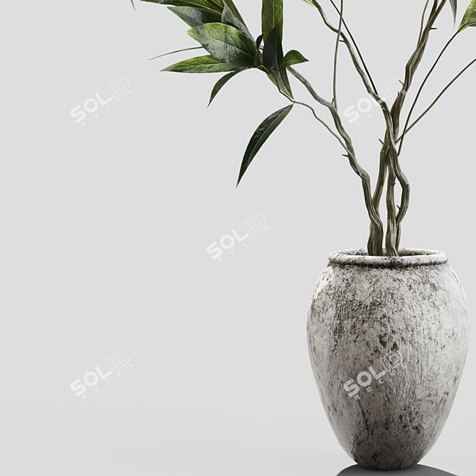 Modern Branches in Elegant Vases 3D model image 2