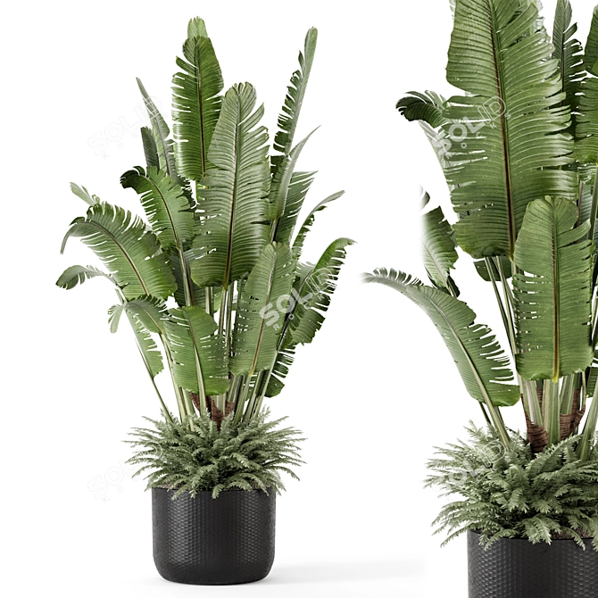 Modern Indoor Plants Set 2448 3D model image 1