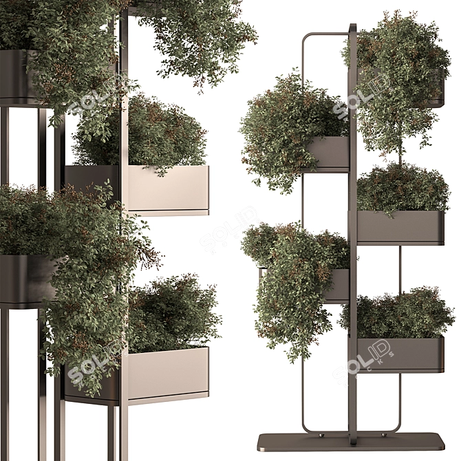 Blossom Box - Indoor Plant 3D model image 3