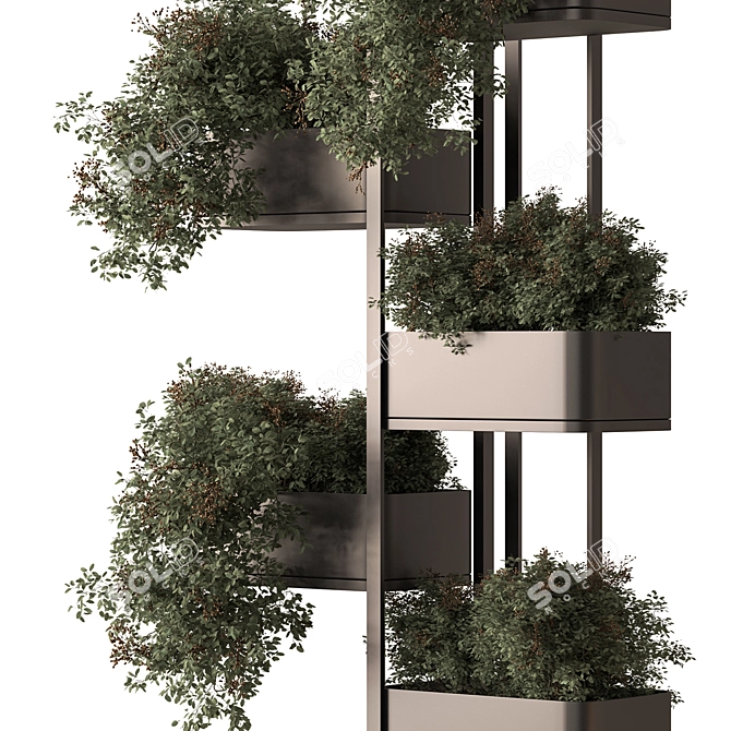 Blossom Box - Indoor Plant 3D model image 5