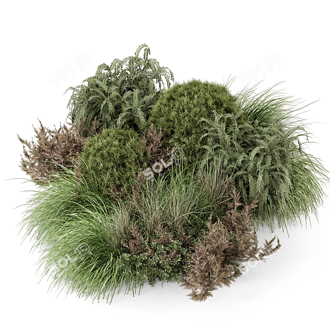 Outdoor Bush Collection 2015 MAX 3D model image 2