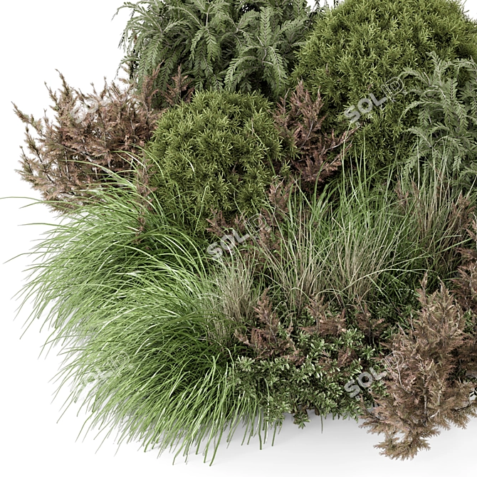 Outdoor Bush Collection 2015 MAX 3D model image 3