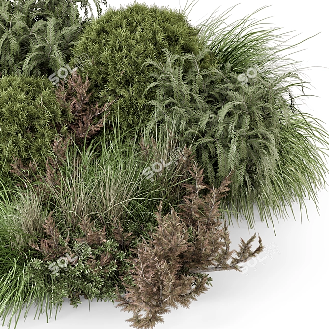 Outdoor Bush Collection 2015 MAX 3D model image 4