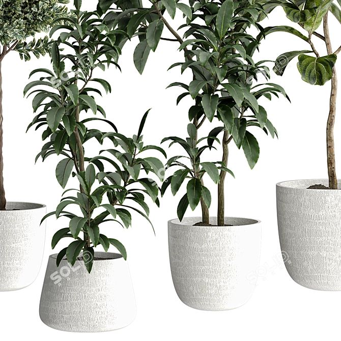 Indoor Plant 534 3D Model 3D model image 2