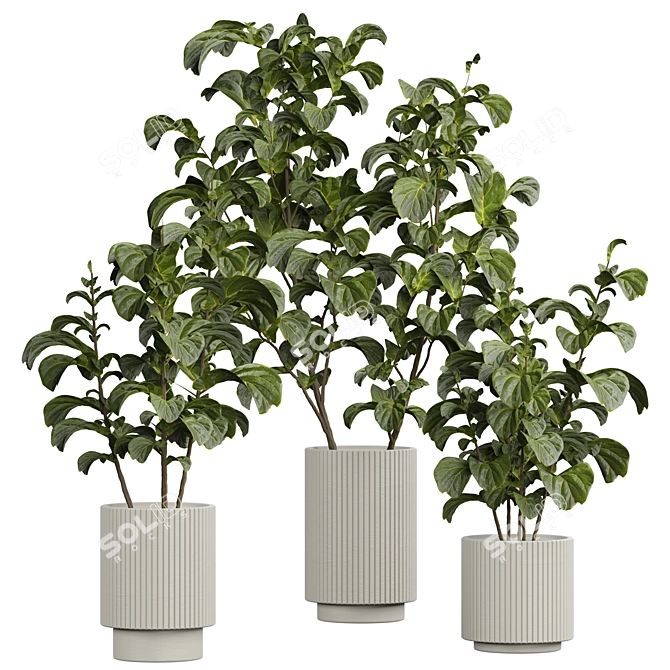 2015 Indoor Plant 535 3D Model 3D model image 1