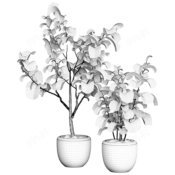 Premium 3D Indoor Plant Model 3D model image 3