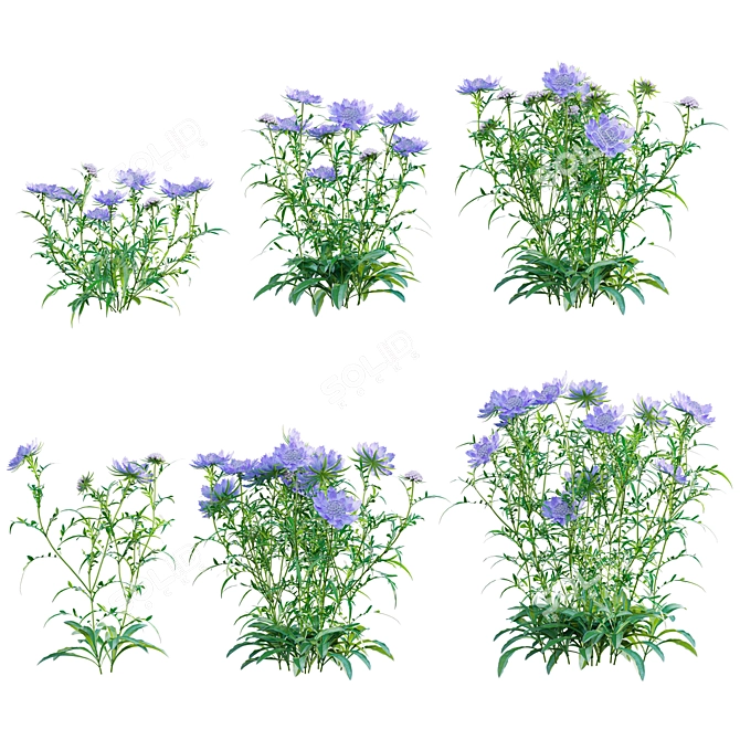 Versatile 3D Plant Models Kit 3D model image 1