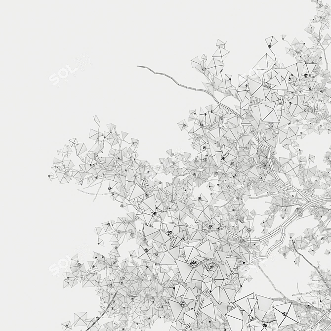 Cherry Blossom Tree Coll. 3D model image 5