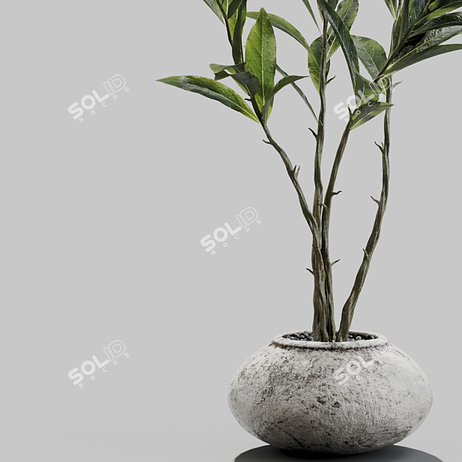 Title: Modern Branches in Glass Vases 3D model image 2