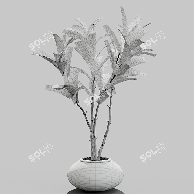 Title: Modern Branches in Glass Vases 3D model image 4