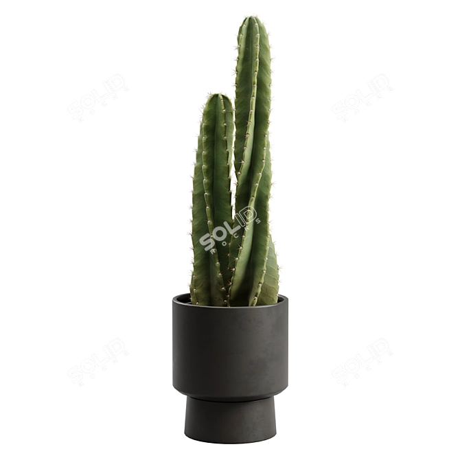 Peruvian Cacti Ornamental Elegance 3D model image 4