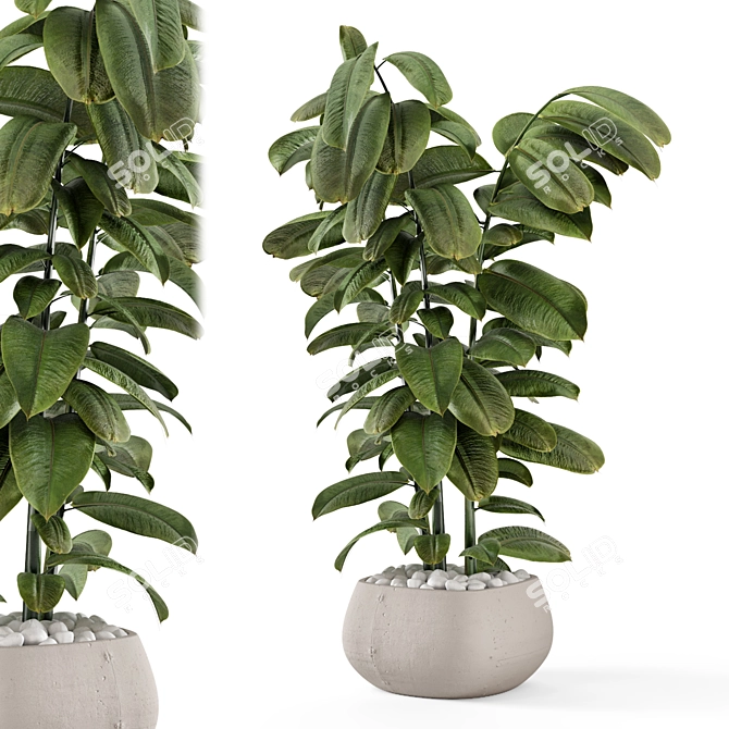 Rusty Concrete Pot Indoor Plants 3D model image 1