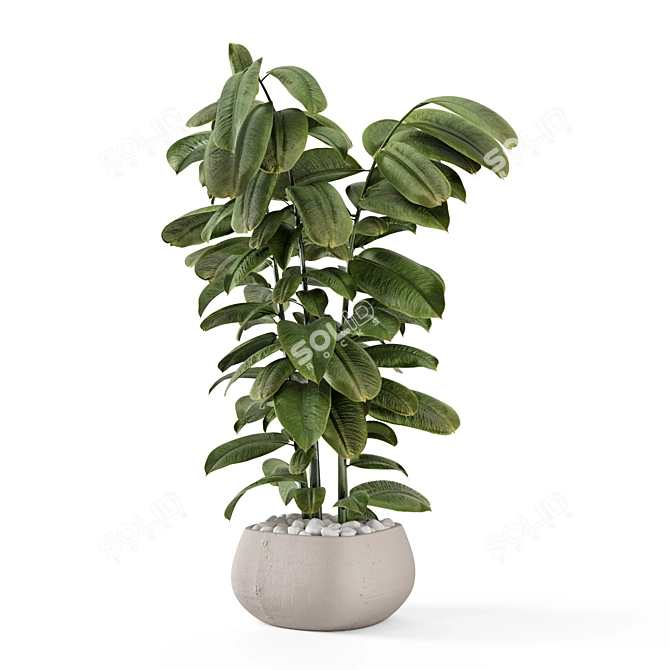 Rusty Concrete Pot Indoor Plants 3D model image 3