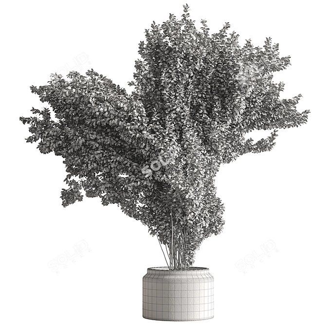 788 Tree in Pot - Indoor 3D model image 3