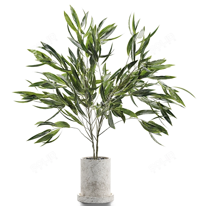 Elegant Branches in Decorative Vases 3D model image 1