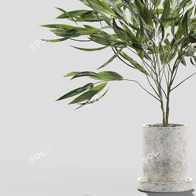 Elegant Branches in Decorative Vases 3D model image 2