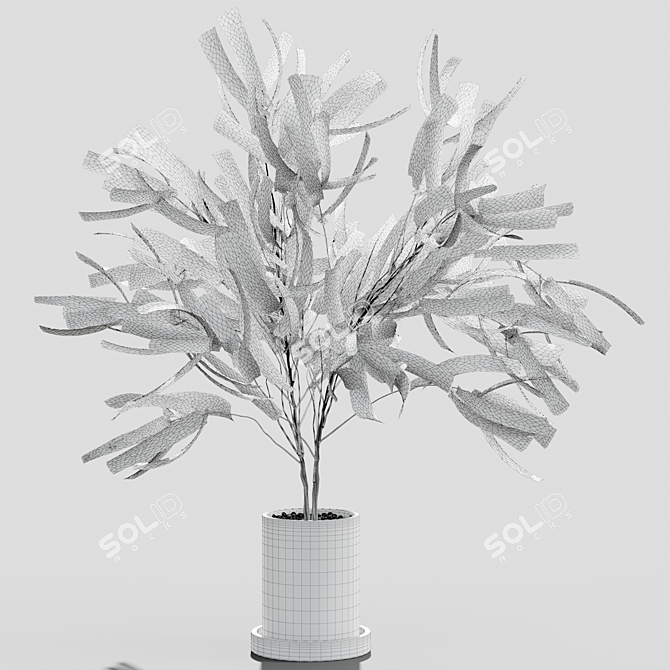 Elegant Branches in Decorative Vases 3D model image 4