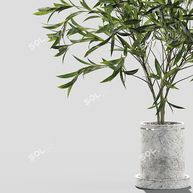 Botanical Beauty Vases | Branches 3D model image 2