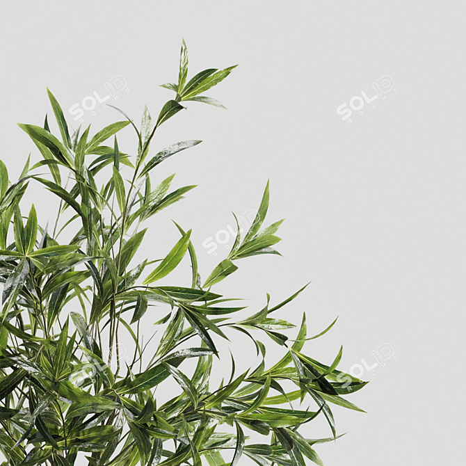 Botanical Beauty Vases | Branches 3D model image 3