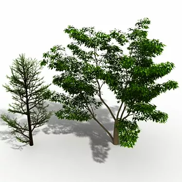 Funny Tree Duo: Double the Laughter! 3D model image 1 