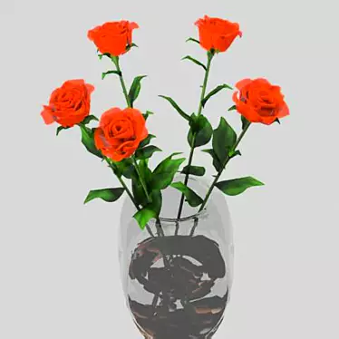 5 roses