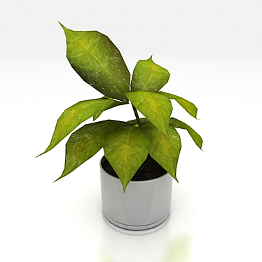 Textured Indoor Pet Plant 3D model image 1 