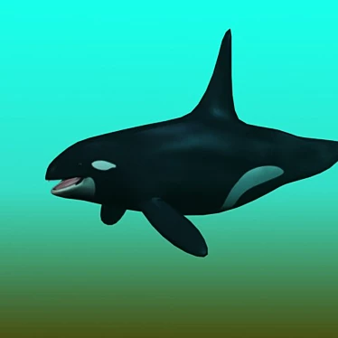 Oceanic Majesty 3D Orca Render 3D model image 1 