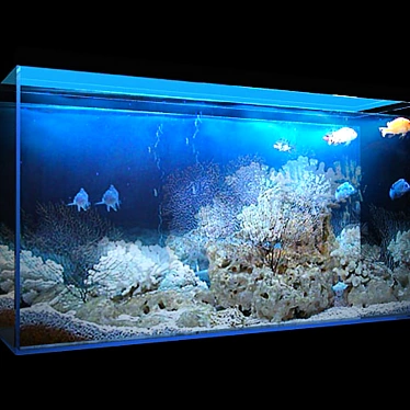  Coral Reef Aquarium 3D model image 1 