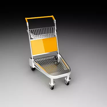 Trolleys for Terminal