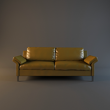 sofa leather