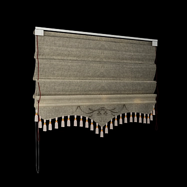 Mirotex Roman Blinds 3D model image 1 