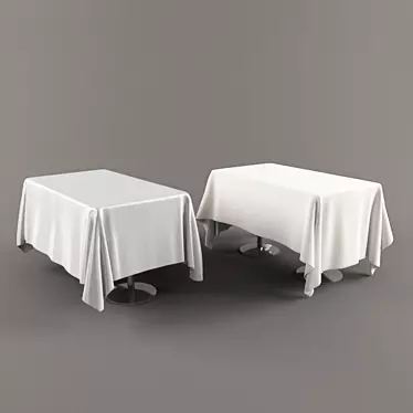 Two Variants Rectangle Tablecloth 3D model image 1 