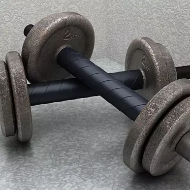 Versatile Dumbbells: Ideal for Total Body Workout 3D model image 1 