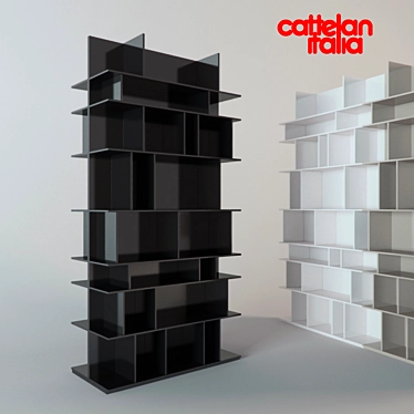 Wally Modular Bookshelf: Cattelan Italia 3D model image 1 