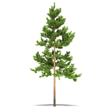 7m Pine Tree Sculpture 3D model image 1 