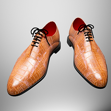 Classic Leather Men's Shoes 3D model image 1 