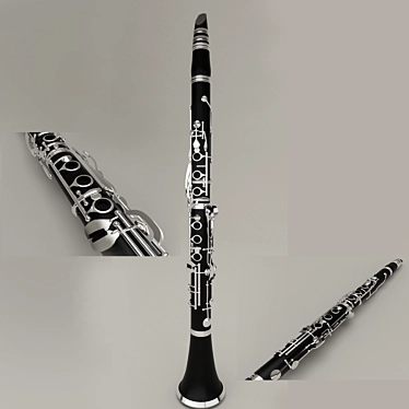 Melodic Harmony: Finest Clarinet 3D model image 1 