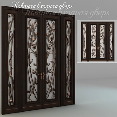 Wrought iron front door