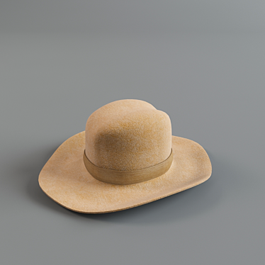 Vintage Hat Collection 3D model image 1 