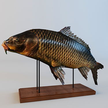 Colorful Carp: A Beautiful Aquatic Delight 3D model image 1 