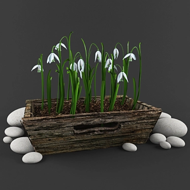 Snowdrop Serenade 3D model image 1 
