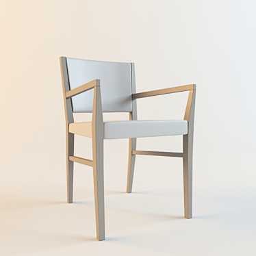 Capellini Class Chair 3D model image 1 