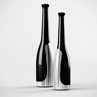  Elegant B&W Glass Bottles 3D model image 1 