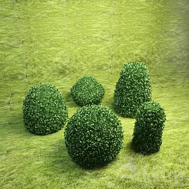 Lush Landscaping: Variety of Bushes 3D model image 1 
