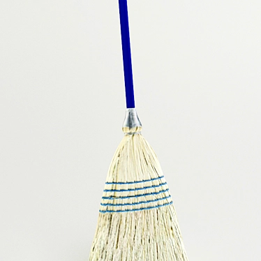SweepEase: Easy-to-Use Broom 3D model image 1 