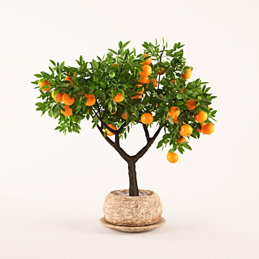 Fresh Orange Tree - Vibrant and Lifelike! 3D model image 1 