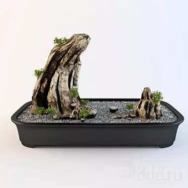 penjing 03