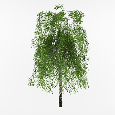 Natural Birch Wood Decor 3D model image 1 