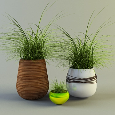Grass-Filled Flowerpots: Interior Decor 3D model image 1 